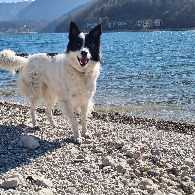 Garni My Ledro | I servizi